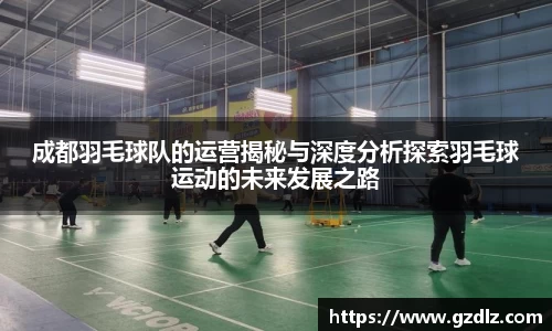 成都羽毛球队的运营揭秘与深度分析探索羽毛球运动的未来发展之路