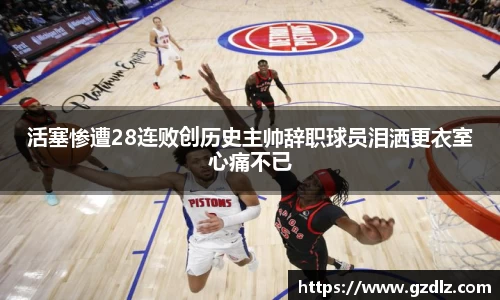 星空综合中国登录入口